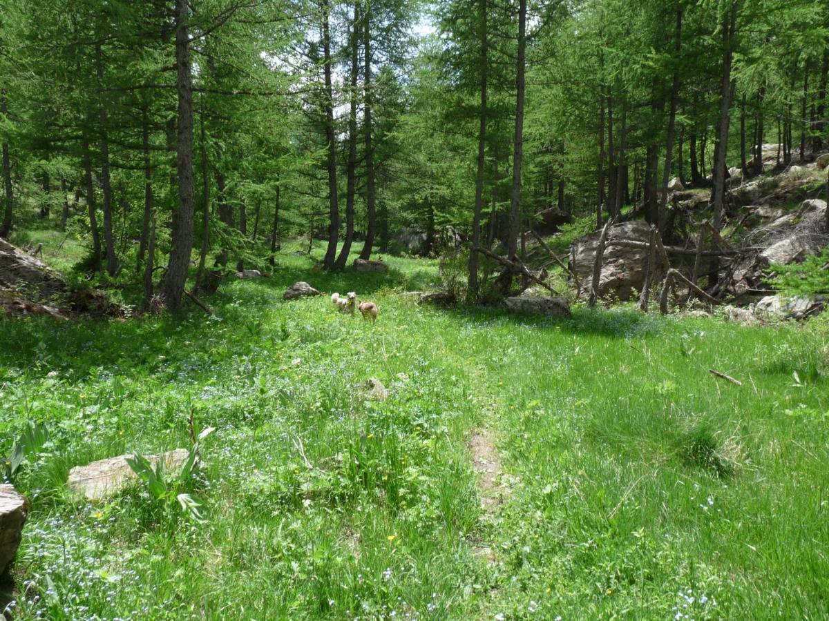 Les Marmottes D Estenc Exteriör bild