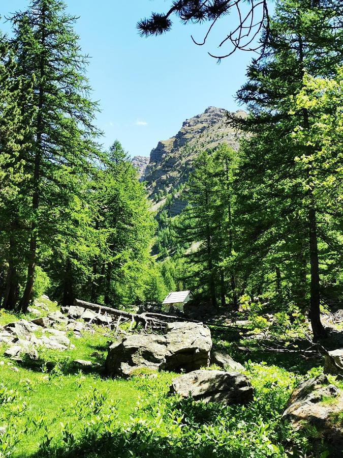 Les Marmottes D Estenc Exteriör bild